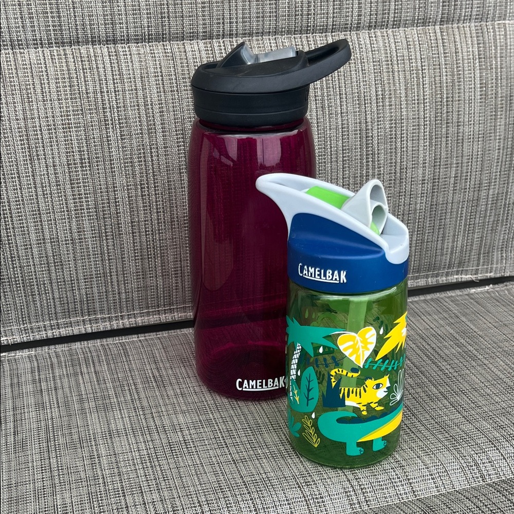 CamelBak Magenta Hydration Bottle